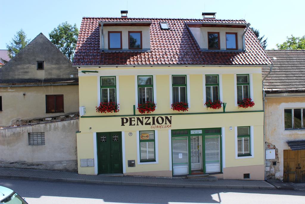 Penzion Gomelska Lägenhet Horní Stropnice Exteriör bild